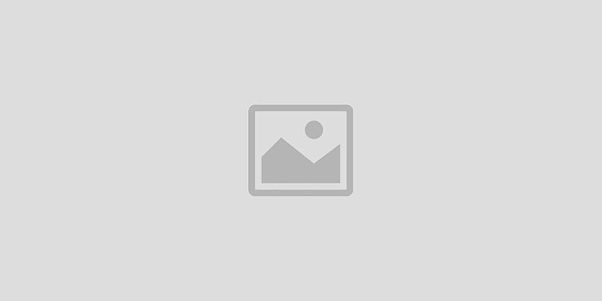 ADMIN | BBF Canada Global | Your Daily Needs